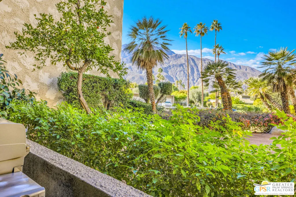 1660 S La Reina Way 1a, Palm Springs, California 92264 home-pic-15